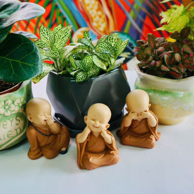 Gift Shop 030